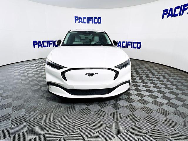 Used cars for sale 2024 Ford Mustang Mach-E Premium, price is 42618, vin 3FMTK3SU1RMA52476 in Philadelphia, PA, dealer name is Pacifico Ford Best Dream car image